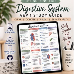 Peut inclure: Une tablette numérique affiche un guide d'étude d'une page intitulé The Nursing Edit Digestive System A&P 1 Study Guide. Le tableau présente des sections sur les fonctions, les organes et les processus avec des illustrations anatomiques.