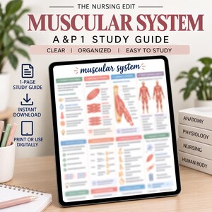 May include: A digital tablet displays a Muscular System A&P 1 study guide. Text includes The Nursing Edit, Muscular System, A&P 1 Study Guide, Clear, Organized, Easy to Study, 1-Page Study Guide, Instant Download, and Print or Use Digitally.