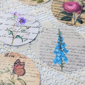 cercles éphémères | Lot de 12 | Thèmes botaniques | Scrapbooking | Fabrication de cartes | Journalisation du courrier indésirable | Cartes estampées à la main