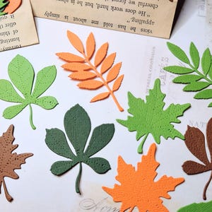 Feuilles d'automne découpées | Lot de 24 | Fabrication de cartes | Scrapbooking | Journalisation du courrier indésirable | Journal créatif | Couleurs d'automne