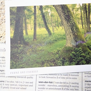 Farne & Feen - Postkarte - Original Fotografie - Fantasy - Snail Mail - Schwedische Natur - Landschaft - Magisch - A6