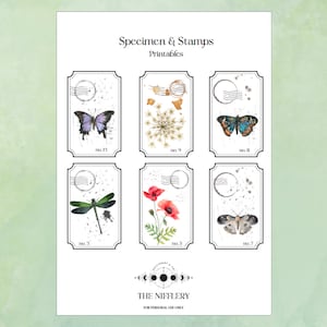 Espécimes e carimbos - A4 para impressão digital - Cartões de diário - Ephemera - Scrapbooking - Natureza - Citações