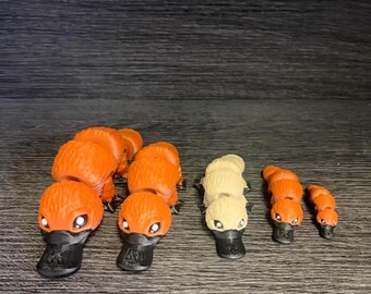 3D platypus