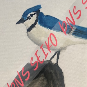 Blue Jay Print l Blue Jay Wall Art l Bird Wall Decor l Blue Jay Accessories l Blue Jay Painted Printable Wall Art Original