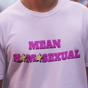 Mean Homosexual Funny Graphic T-shirt, Funny Pride T-shirt, Pride Tee, Gay Love Funny T-shirt, Unhinged T-shirt, Cursed T-shirt, Ugly Tee