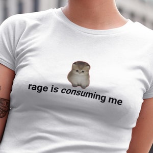 Rage Is Consuming Me Funny Graphic T-shirt, Funny Cat T-shirt, Angry Cat T-shirt, Small Cat Angry T-shirt, Kitten Funny T-shirt, Cat Tee