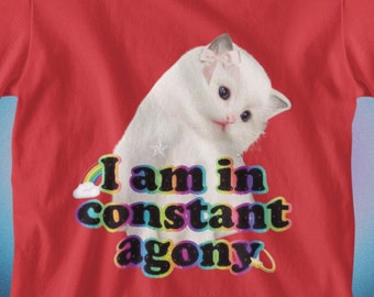 Ich bin in konstanter Qual Lustiges Katzen-Grafik-T-Shirt, lustiges Meme-Shirt, lustiges Katzen-T-Shirt, Virales T-Shirt, Katzenmem, weinendes Katzen-T-Shirt, Satire