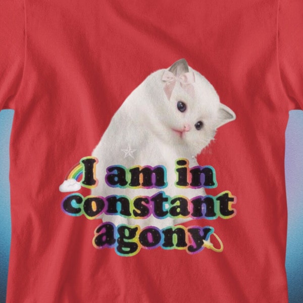 Ich bin in konstanter Qual Lustiges Katzen-Grafik-T-Shirt, lustiges Meme-Shirt, lustiges Katzen-T-Shirt, Virales T-Shirt, Katzenmem, weinendes Katzen-T-Shirt, Satire