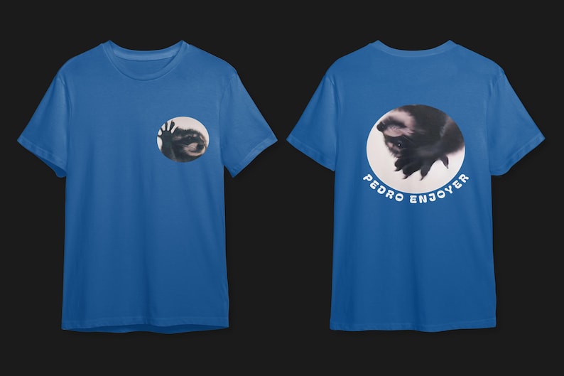 Waschbär Petro lustiges grafisches T-Shirt, Waschbär-lustiges T-Shirt, Waschbär-Meme-T-Shirt, Waschbär-T-Shirt, Waschbär-T-Shirt, tanzender Waschbär, Petro Royal