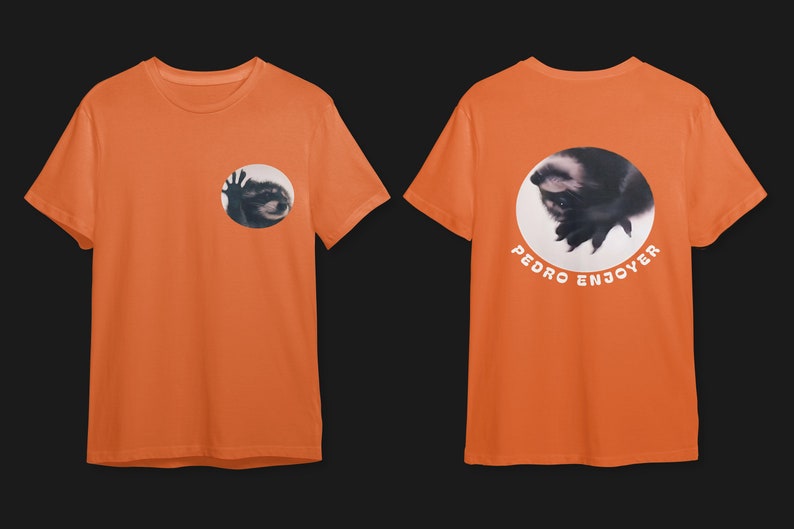 Waschbär Petro lustiges grafisches T-Shirt, Waschbär-lustiges T-Shirt, Waschbär-Meme-T-Shirt, Waschbär-T-Shirt, Waschbär-T-Shirt, tanzender Waschbär, Petro Orange