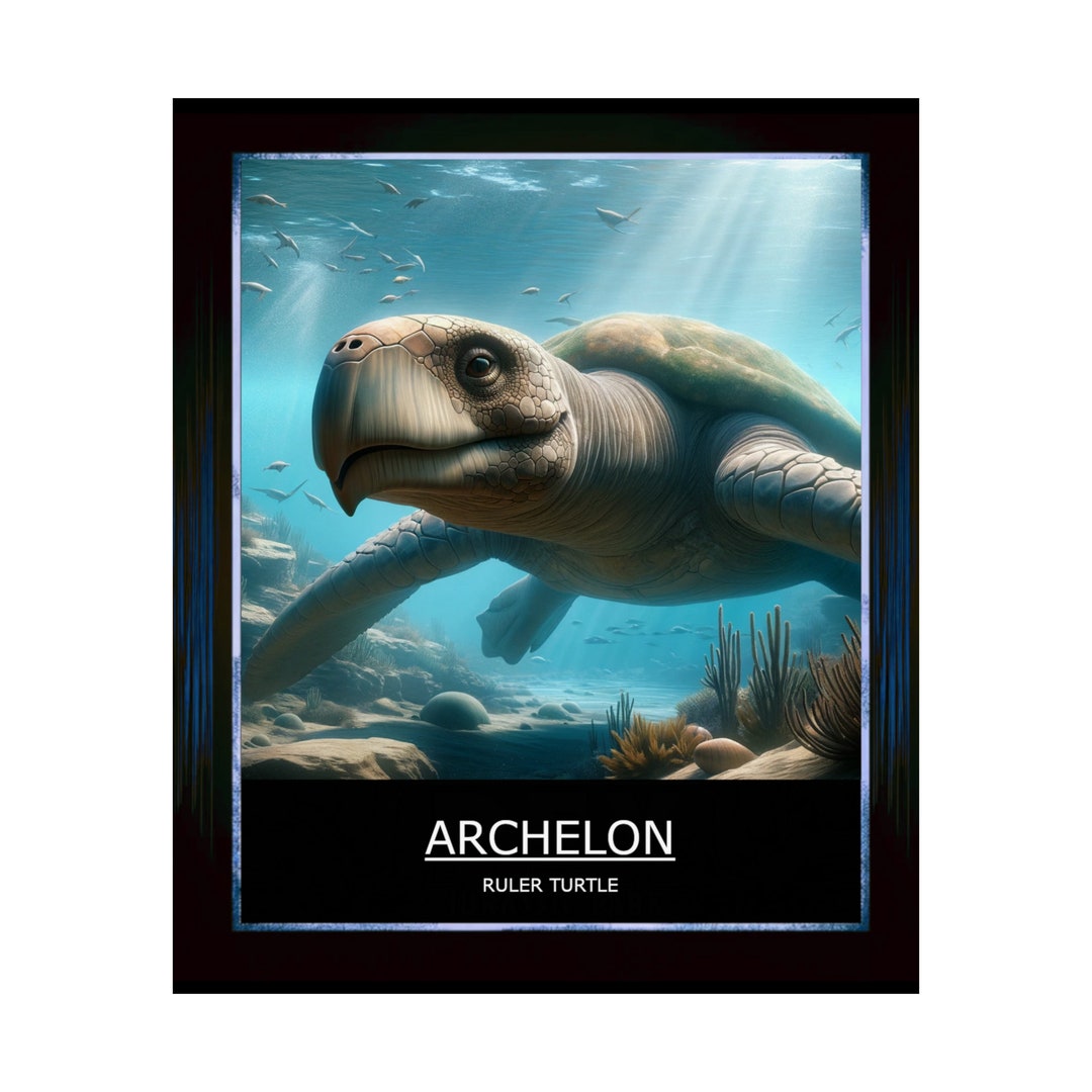 Dinosaur Collection Archelon Poster - Etsy