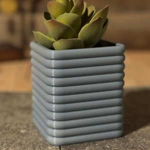 May include: A light blue, 2.5 inch tall, square planter with a ribbed design. A small, green succulent plant is inside the planter.