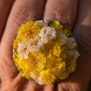 Yellow and White Real Flower Resin Ring | Botanical Jewelry with Rose Gift Box