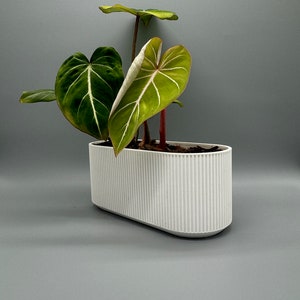 3D Printable Elegant Planter Long STL | For Home and Outdoor Garden