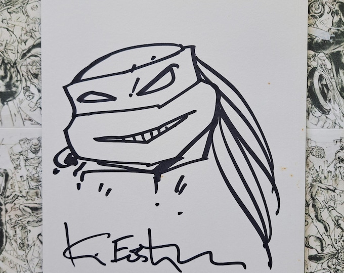 Teenage Mutant Ninja Turtles #50 Comics & Ponies Kevin Eastman Original Sketch