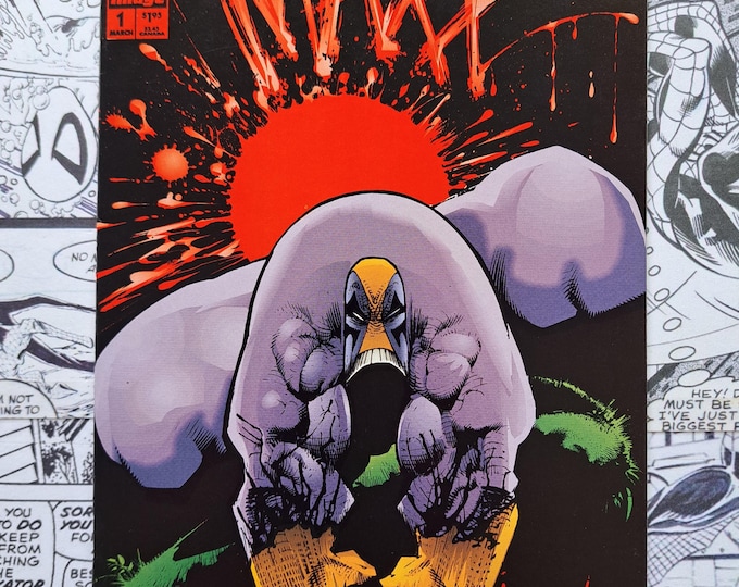 The Maxx #1 Sam Kieth First Appearance of Maxx Image 1993