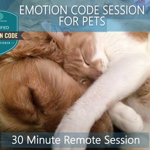 May include: A golden retriever and a white and brown cat are sleeping together. The image is captioned "Emotion Code Session for Pets" and "30 Minute Remote Session".