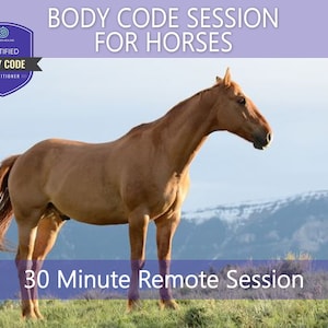 Könnte beinhalten: Ein braunes Pferd steht auf einer Weide mit einem Gebirge im Hintergrund. Oben im Bild steht der Text "BODY CODE SESSION FOR HORSES" und unten "30 Minute Remote Session".