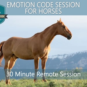 Emotions Code Session für Pferde - 30-Minuten Session
