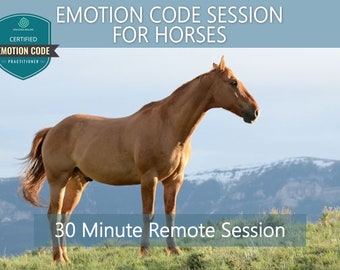 Sesja Emotion Code dla koni - sesja 30-minutowa