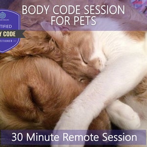 Body Code Session for Pets - 30 Minutes