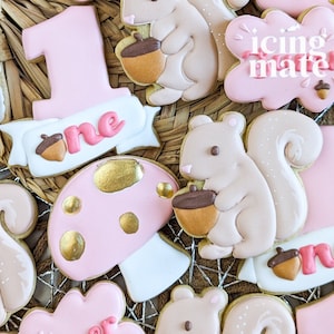Pu&ograve; includere: Assortimento di biscotti di zucchero decorati a tema bosco. I biscotti includono il numero "1", scoiattoli che tengono ghiande e forme di funghi. I biscotti sono decorati con glassa rosa, bianca, marrone e dorata. Alcuni biscotti hanno la scritta "one" e "icing mate me".
