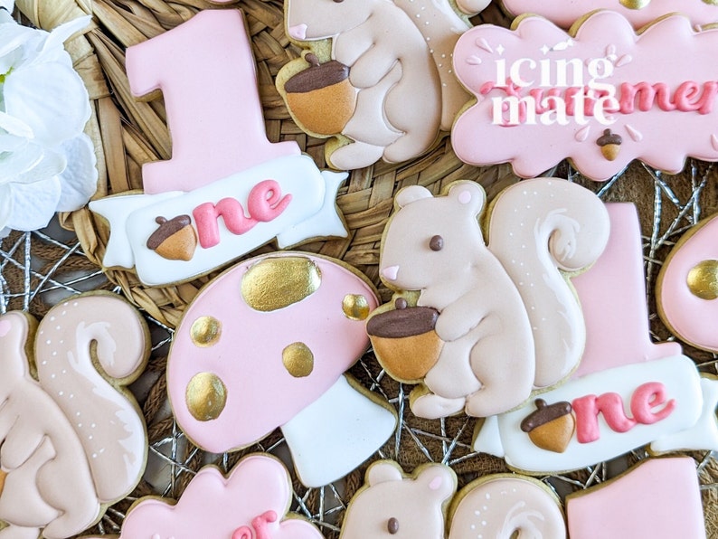 Pu&ograve; includere: Assortimento di biscotti di zucchero decorati a tema bosco. I biscotti includono il numero "1", scoiattoli che tengono ghiande e forme di funghi. I biscotti sono decorati con glassa rosa, bianca, marrone e dorata. Alcuni biscotti hanno la scritta "one" e "icing mate me".
