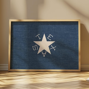 Republic of Texas Flag Print: De Zavala, Lone Star Art, Textured Patterned Print