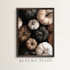 May include: A framed print featuring a collection of pumpkins in various colors, including white, brown, and black. The pumpkins are arranged closely together, creating a textured and autumnal aesthetic. The words "AUTUMN TALES" are printed at the bottom.