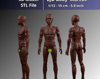 3D Print Männlicher BJD Körper STL-Datei | 15 cm, Maßstab 1:12