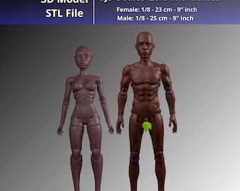 STL BJD Körper 23 cm