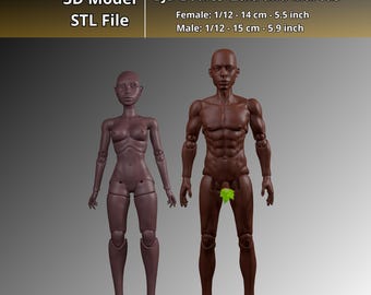 1/12 BJD Puppenkörper STL-Datei, Frau und Mann 3D Modell