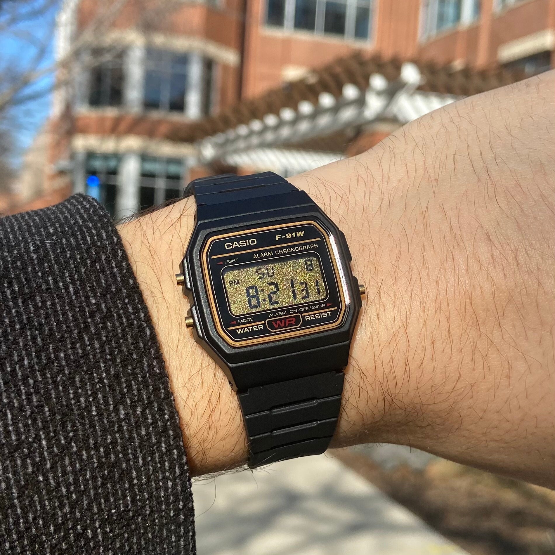 Casio F 91w 