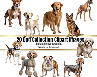 May include: A collection of 20 digital clipart images of dogs. The images feature various breeds, including a golden retriever, a German shepherd, a bulldog, a poodle, a dachshund, a Shih Tzu, and a pit bull. The images are isolated on a transparent background.