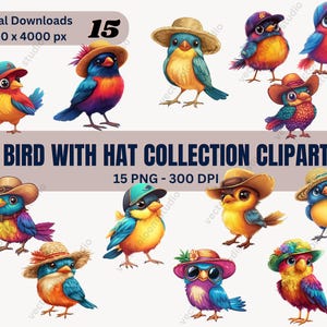 15 clipart oiseau PNG aquarelle, oiseau avec chapeau, clipart oiseau drôle, art mural chambre d'enfant, art colibri, usage commercial, clipart imprimable,