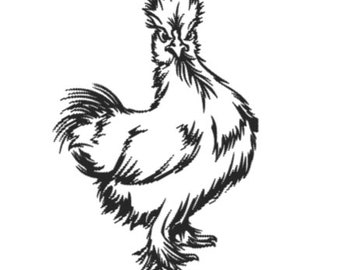 Illuminary Plate - Silky Chicken with Attitude