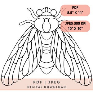 May include: Black and white line art illustration of a cicada insect. The illustration is detailed and includes the wings, head, and body of the cicada. The image is suitable for coloring or printing.