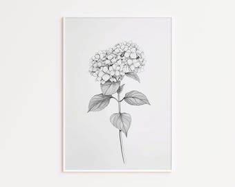 Black and White Flower Wall Art Hydrangea Drawing Vintage Botanical Sketch Art Minimalist Flower Printable Farmhouse Digital Download 179