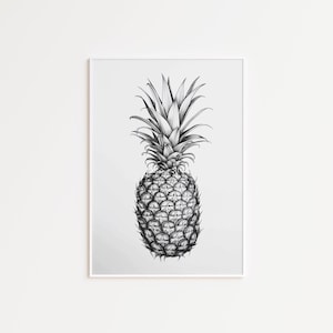 Pineapple Sketch Black and White Fruit Art Minimalist Kitchen Wall Art Tropical Art Pineapple Wall Decor Printable Digital Download 170