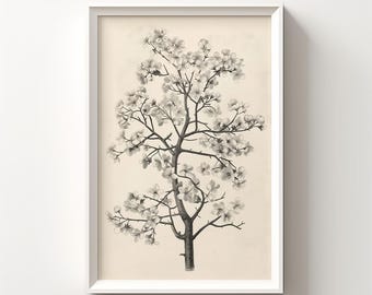 Boceto de árbol de cerezo en flor, dibujo botánico vintage, arte mural botánico antiguo, dibujo de árbol imprimible, arte de árbol en blanco y negro 138