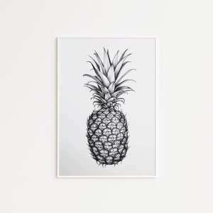 Pineapple Sketch Black and White Fruit Art Minimalist Kitchen Wall Art Tropical Art Pineapple Wall Decor Printable Digital Download 170