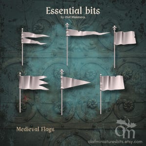 Könnte beinhalten: Eine Sammlung von silbernen Miniatur-Mittelalterflaggen in verschiedenen Formen, montiert auf silbernen Stangen mit dekorativen Zierknöpfen. Der Text "Essential bits" und "Medieval Flags" ist sichtbar.