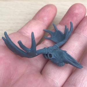 May include: A gray plastic moose skull with antlers. The skull is detailed with a textured surface and has a realistic appearance.