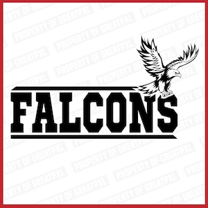 Falcons SVG, Flying Falcons, Falcons School Mascot, Falcons Svg Cutfile, Falcons PNG, Falcons SVG Cricut, Falcons Sublimation, Gift, T Shirt