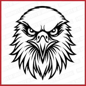 Falcons SVG, Falcons SVG Cricut, Falcons Head, Falcons School Mascot, Falcons Svg Cutfile, Falcons Sublimation, Gift, T Shirt, Falcons PNG