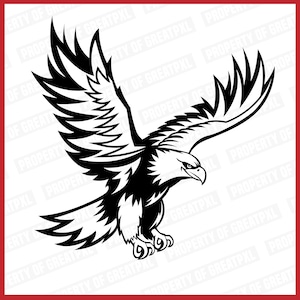 Falcons SVG, Falcons PNG, Falcons SVG Cricut, Flying Falcons, Falcons School Mascot, Falcons Svg Cutfile, Falcons Sublimation, Gift, T Shirt