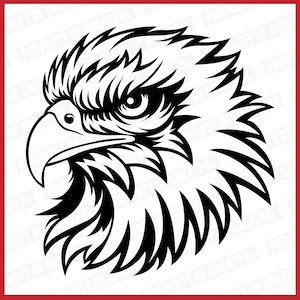 Falcons SVG, Falcons Cricut, Falcons Head, Falcons School Mascot, Falcons Cutfile, Falcons Sublimation, Gift, Falcons T Shirt, Falcons PNG