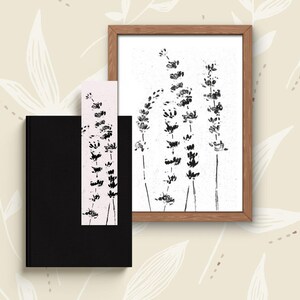 Botanical Prints - Lavender