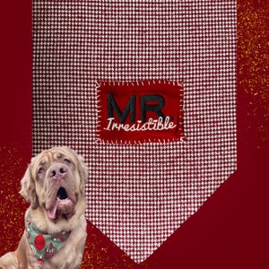 May include: A dog wearing a festive bandana with a red and green pattern. The dog is positioned in front of a houndstooth patterned fabric with a red patch that reads "MR. Irresistible" in black and white lettering.