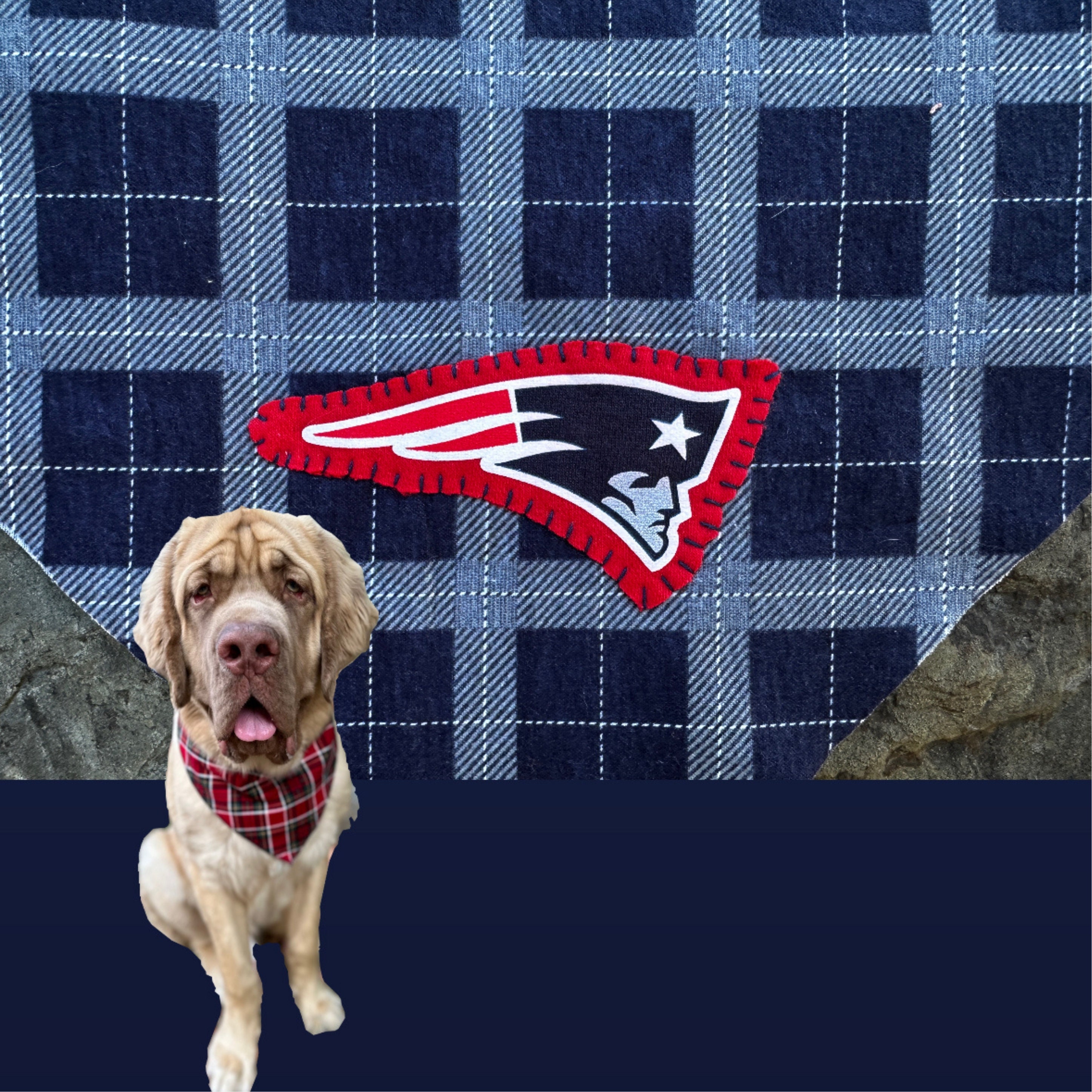 Patriots dog shirt hot sale